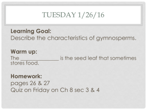 Chapter 8 Section 4 Gymnosperms