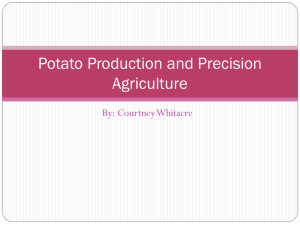 Potato Production and Precision Agriculture