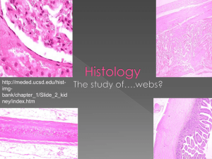 Histology - AP Biology