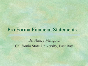 Pro Forma Financial Statements