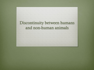 Discontinuity between humans and non