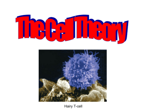 Cell Theory 08