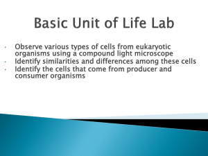 Basic Unit of Life Lab
