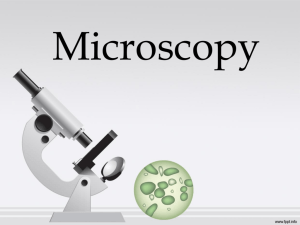 The Microscope - juan
