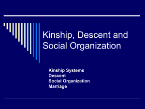 !Kung Kinship and Social Organization