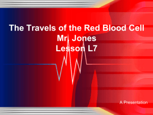 The Travels of the Red Blood Cell Mr. Jones Lesson L7