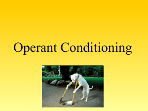 Module 27: Operant Conditioning