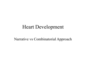 Heart Development - Gene Ontology Consortium