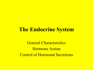 The-Endocrine