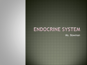 Endocrine System PowerPoint