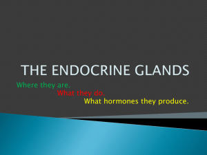 the endocrine system - Madison County Schools