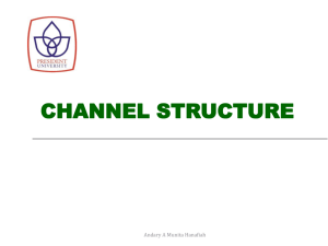 channel structure - Industrial Engineering 2011