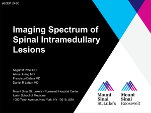 Imaging Spectrum of Spinal Intramedullary Lesions
