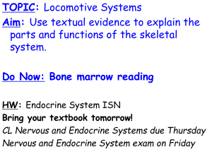 What are the parts and functions of the skeletal system?