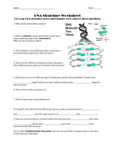 NAME: TOC #______ DNA Structure Worksheet Use your DNA