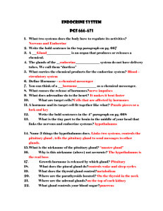 Endocrine System study guide answers