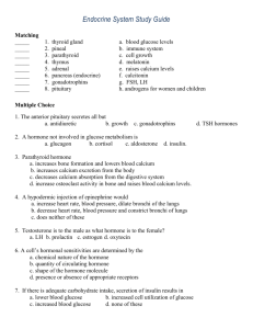 Endocrine System Study Guide Matching