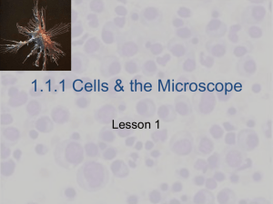1.1.1 Cells & the Microscope