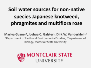 Soil water sources for non-native species Japanese knotweed