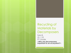 Recycling of Materials by Decomposers