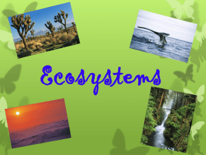 Ecosystems PPT