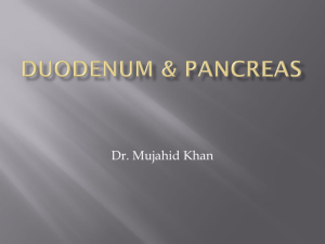 03-Duodenum and Panc..