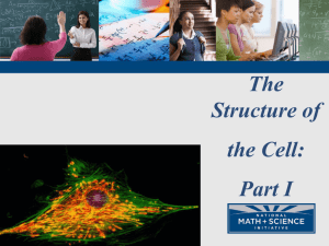 Cell Structure PPT Part 1