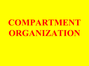 New COMPARTMENT ORGANIZATION