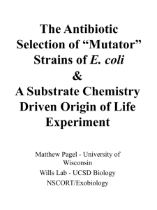 A Substrate Chemistry Driven Origin of Life Experiment