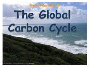 Unit 2 Section 8 The Global Carbon Cycle