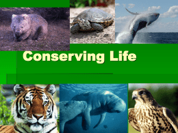 7-2 Extinction and Biodiversity Loss Worksheet