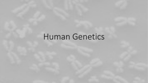 Human Genetics PPT and Notes
