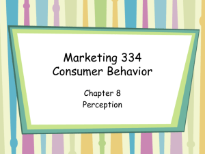 Marketing 334 Consumer Behavior