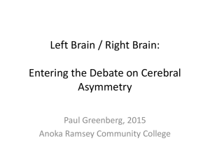 Left Brain / Right Brain: Understanding Cerebral Asymmetry