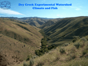 What will happen to the fish? - Dry Creek Experimental Watershed
