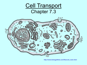 Cell_transport_ppt  - Monmouth Regional High School