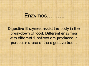 Digestive Enzymes - Warren County Schools