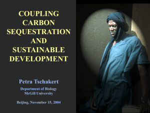 Coupling Carbon Sequestration and
