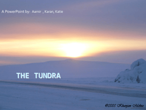The Tundra - TeacherTube