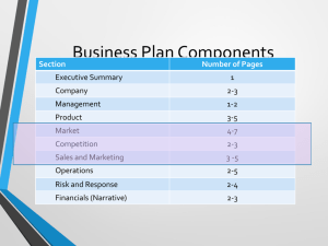 The Business Plan Section Summary