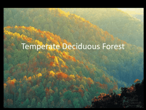 Five Zones of Temperate Forests