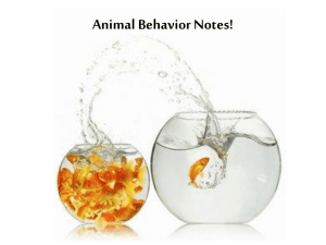 Animal Behavior Notes!