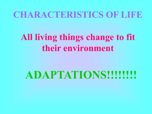 Adaptations POWER POINT