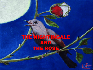 Does the nightingale help to the student?