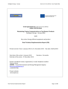IEE final technical implementation report