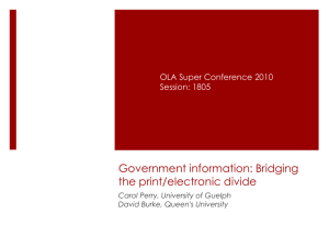 Government information: Bridging the print/electronic divide