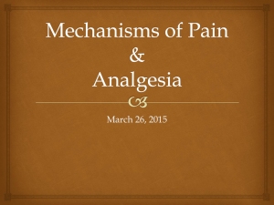 Mechanisms of Pain & Analgesia