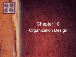 10. Organization Design - Delmar