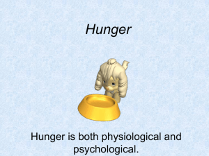 Hunger - AP Psychology Community