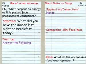 flow of matter and energy